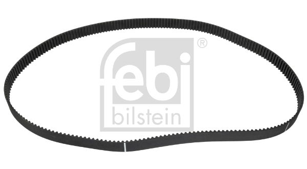 Timing Belt